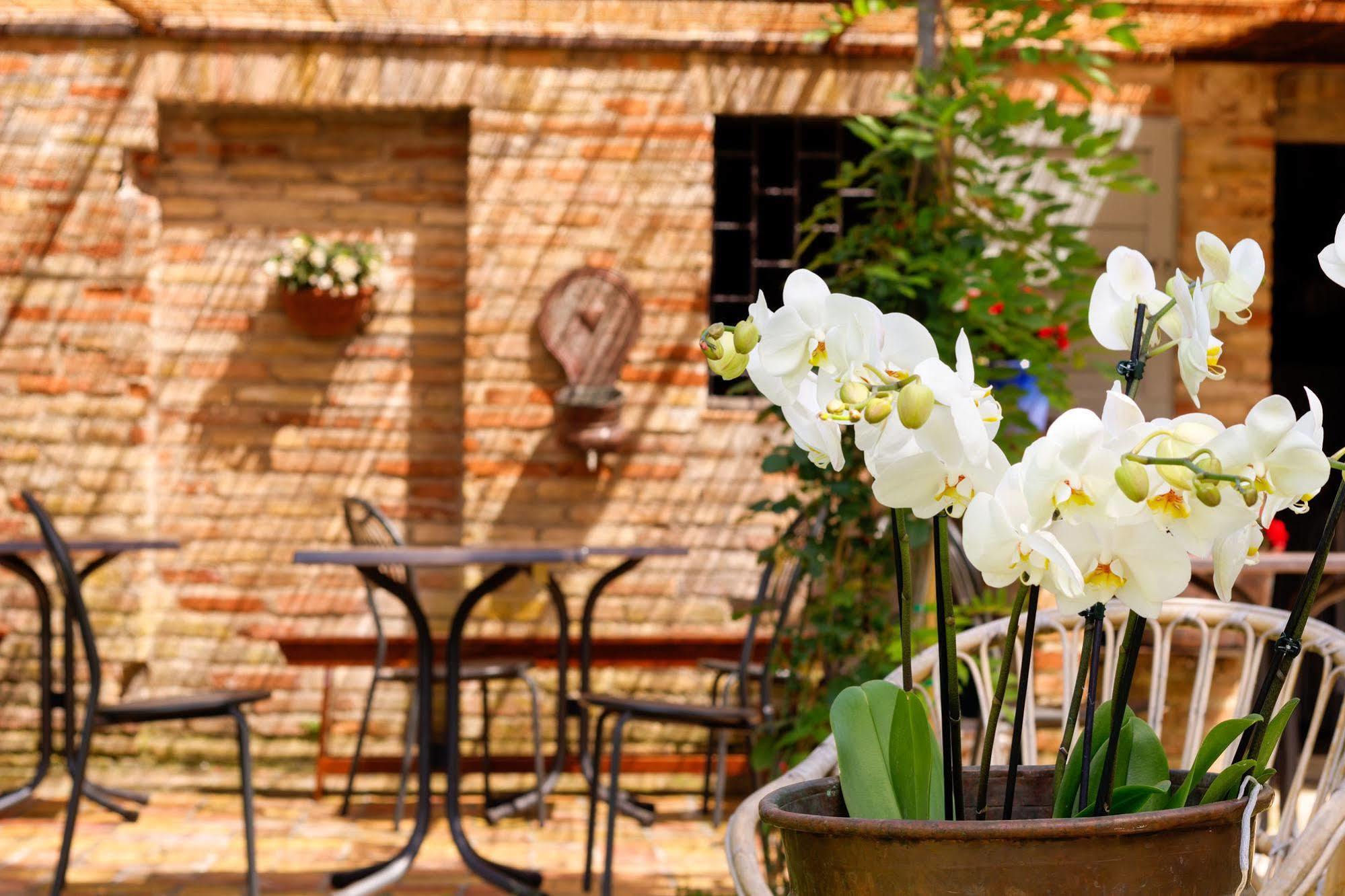 Montesicuro B&B La Residenza Del Poeta מראה חיצוני תמונה